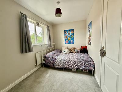 Picture 14